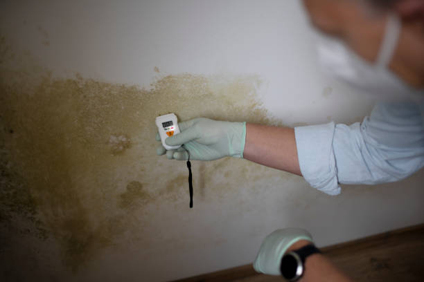 Crewe, VA Mold Remediation Company