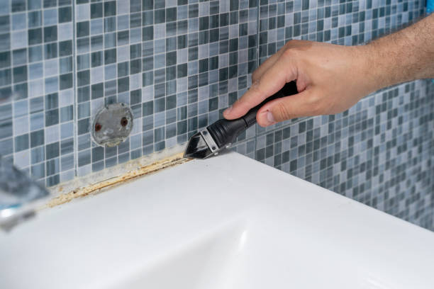 Best Black Mold Remediation in Crewe, VA