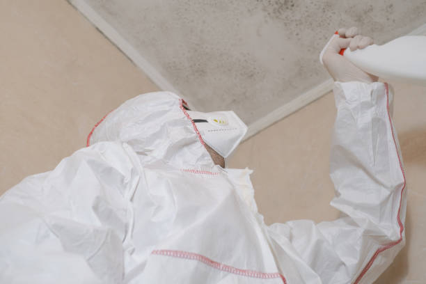 Best Commercial Mold Remediation in Crewe, VA